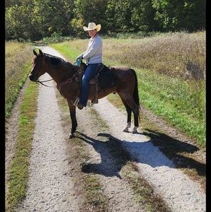 Meet your Posher, Stacey